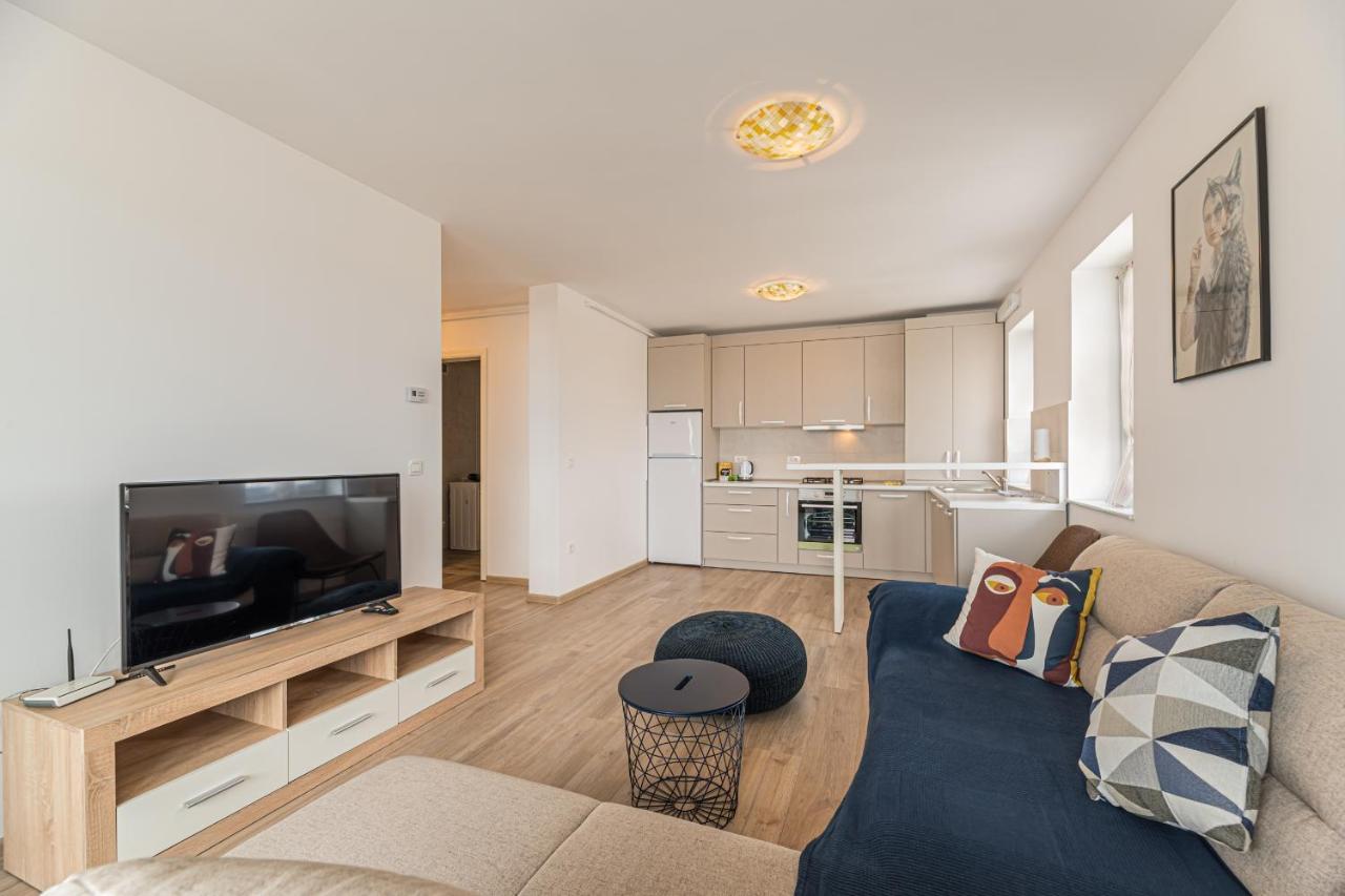 Coresi Modern Apartment Brasov Luaran gambar